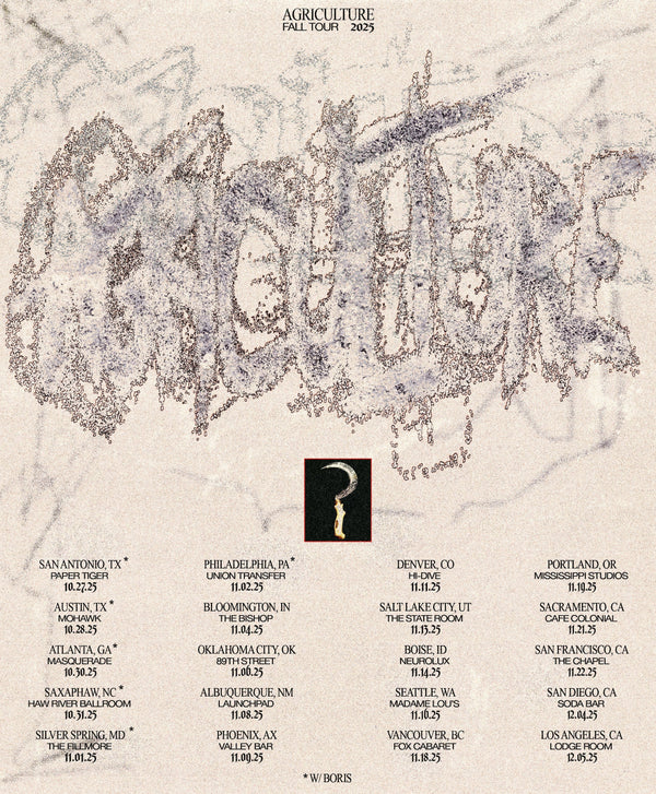 November_2025_Final_Flyer_litt