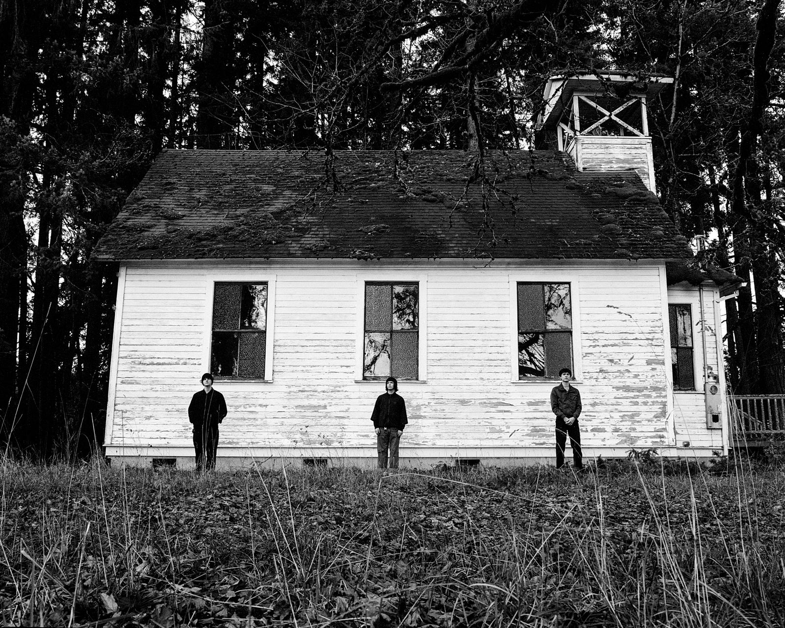 Rhododendron band photo