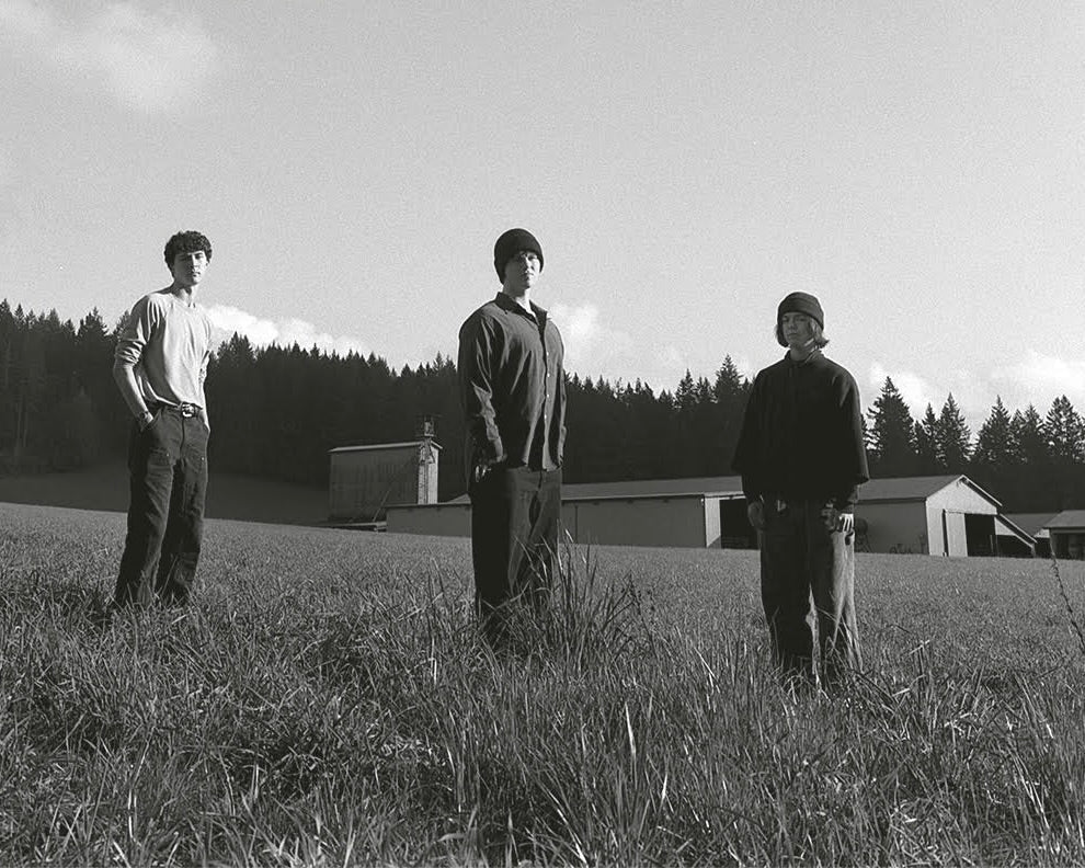The three members of Rhododendron stand with their hands in their pockets, shin-deep in a grassy field, a pine forest in silhouette several yard behind.
