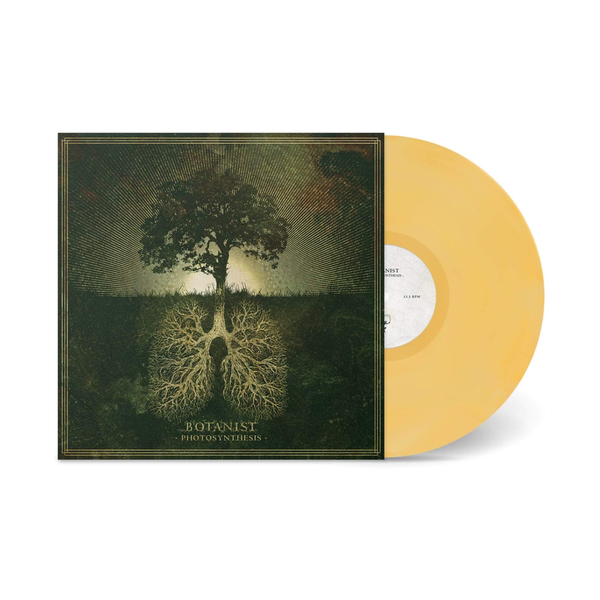 The Flenser Vinyl Botanist "Photosynthesis" LP (pre-order)