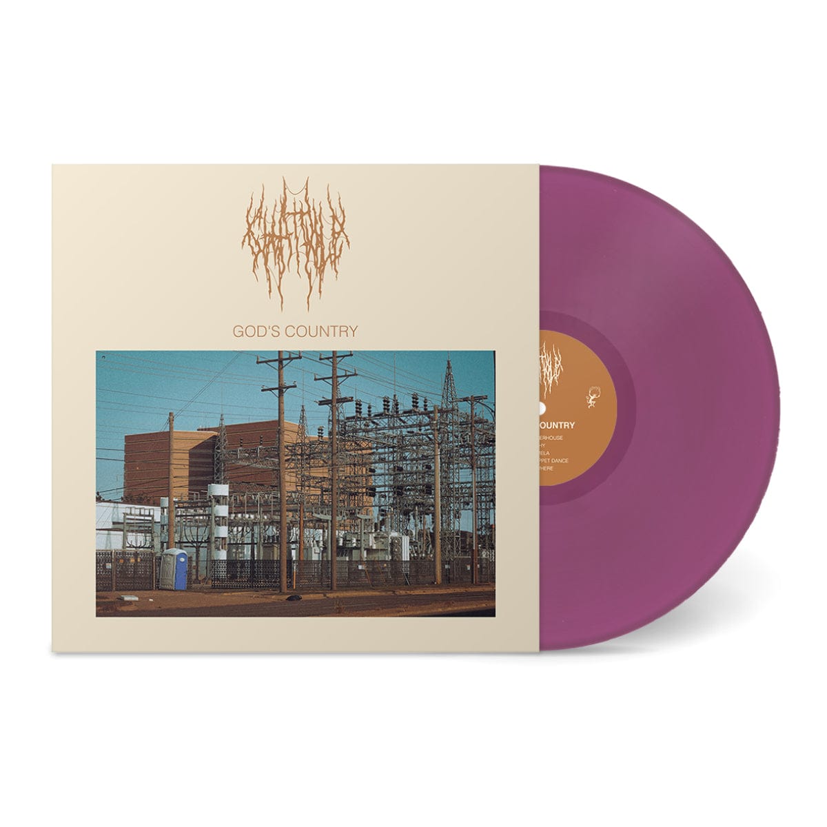The Flenser Vinyl Grimace Purple Vinyl [Fifth Pressing] Chat Pile &quot;God&#39;s Country&quot; LP (pre-order)