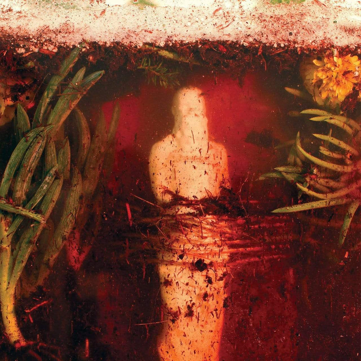 The Flenser Vinyl,Flenser Releases Oxblood in Beer Colored Vinyl Wreck and Reference "Indifferent Rivers Romance End" LP