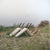 Planning For Burial, It’s Closeness, It’s Easy, is out now on The Flenser.