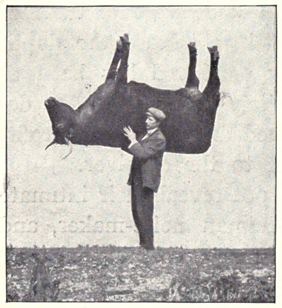 Flenser's Seasonal Suffering: Summer Gloom Playlist