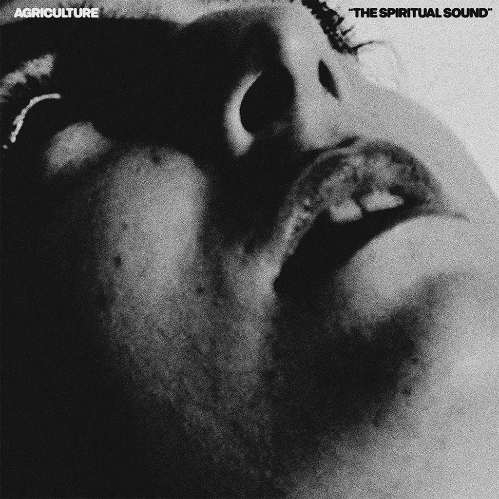 Agriculture - The Spiritual Sound | CD from The Flenser