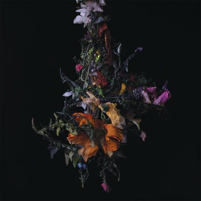 Thrill Jockey CD Big Brave "Nature Morte" CD