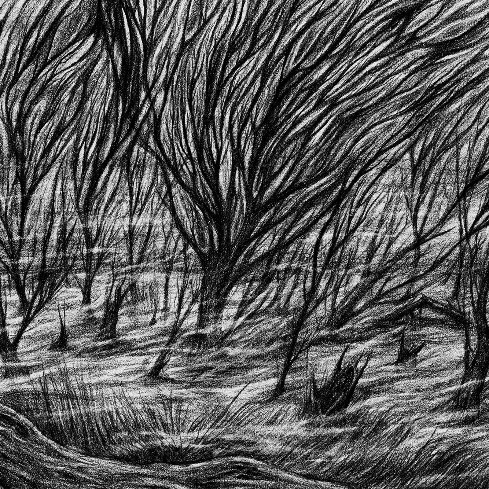 Tartarus Records Vinyl Bismuth "The Eternal Marshes" LP