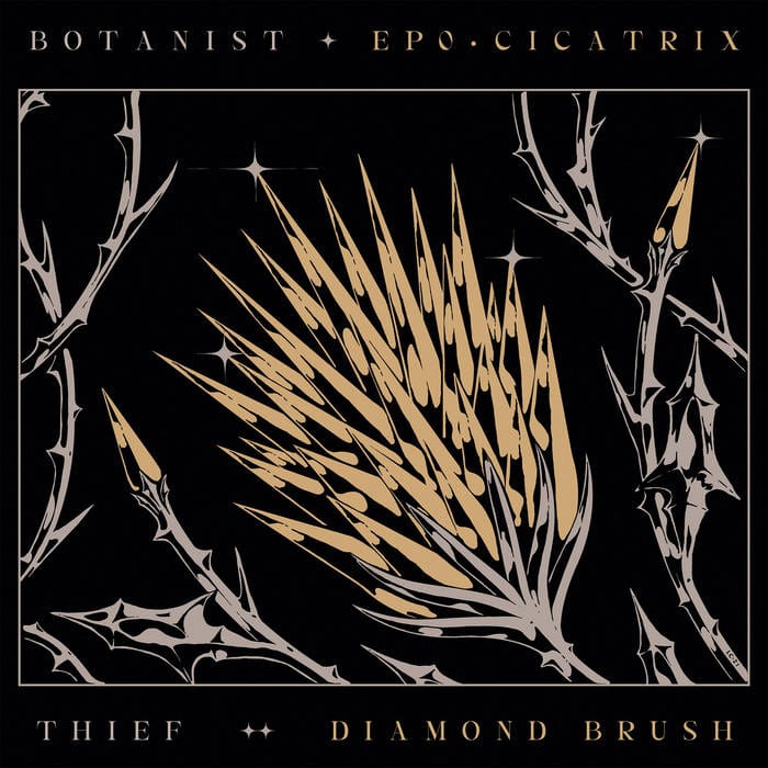 Prophecy Vinyl Botanist &quot;Botanist / Thief Split&quot; LP