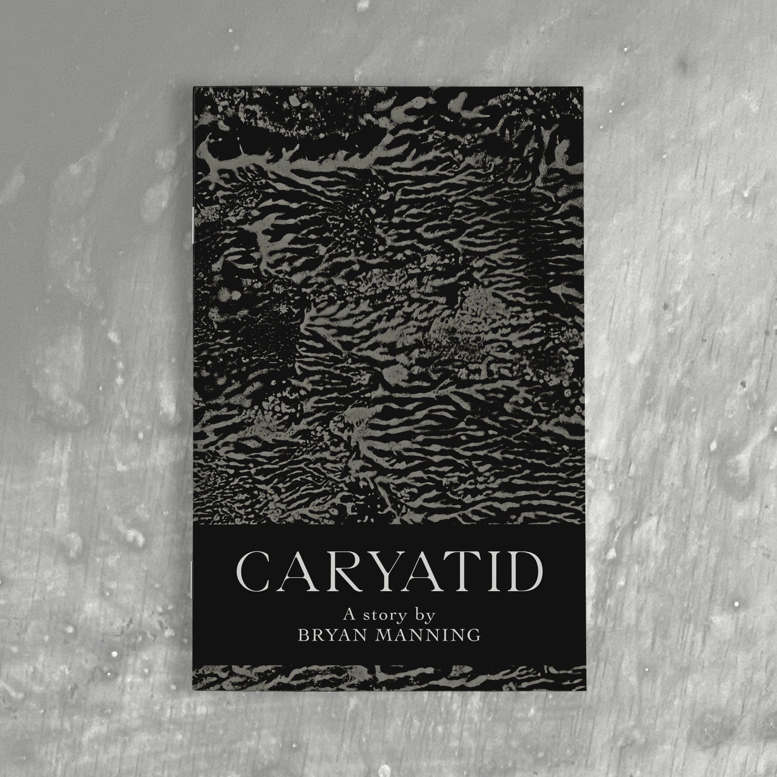 The Flenser Zine Bryan Manning "Caryatid" Zine