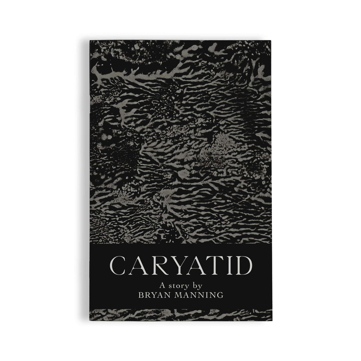The Flenser Zine Bryan Manning &quot;Caryatid&quot; Zine
