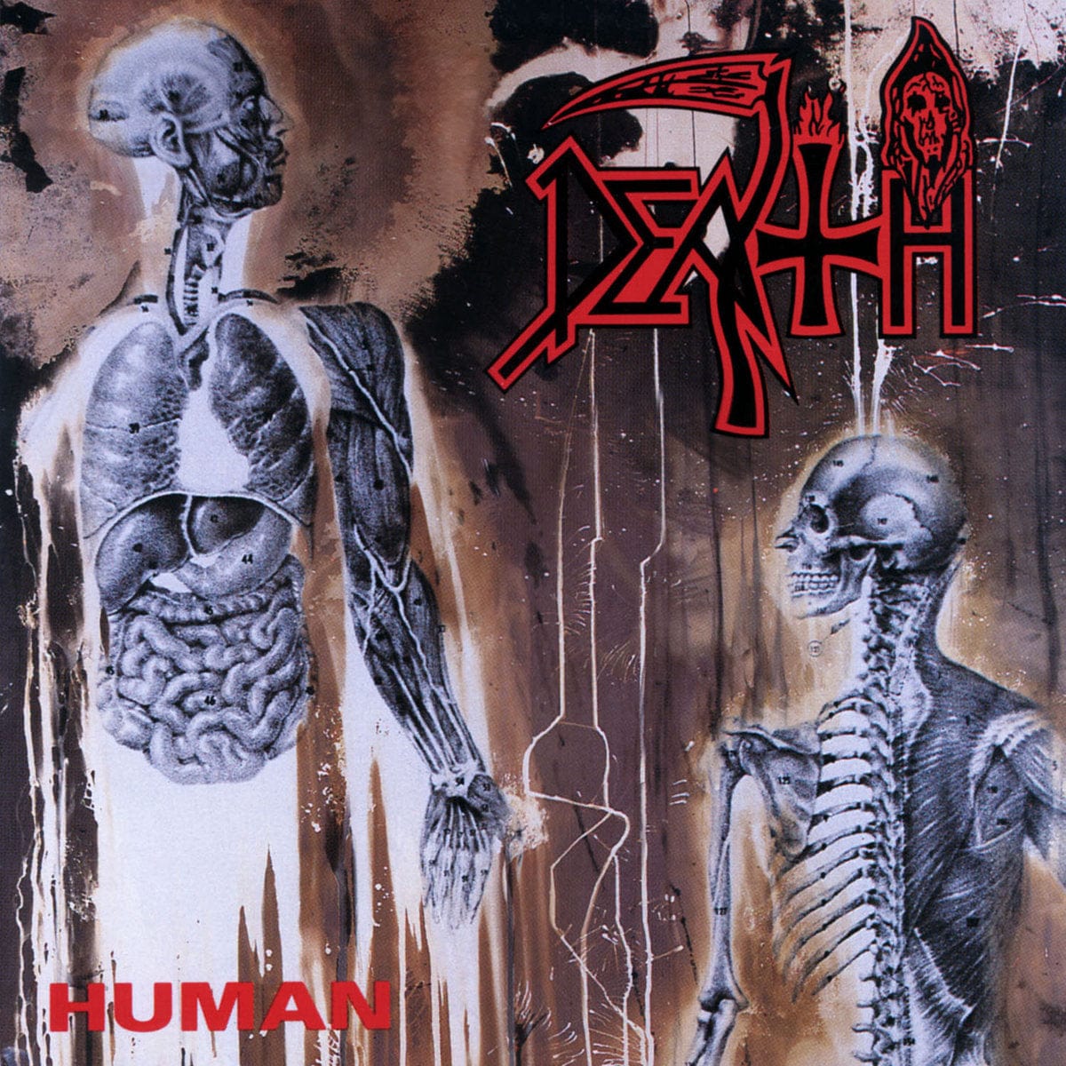 Relapse Records Vinyl Death &quot;Human&quot; LP