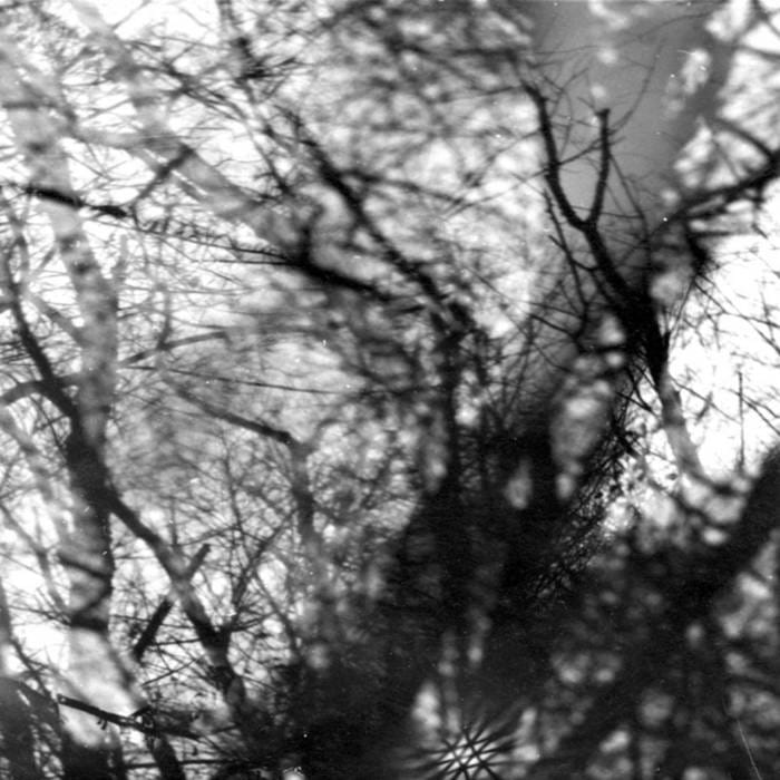 Kranky CD Grouper "Way Their Crept" CD