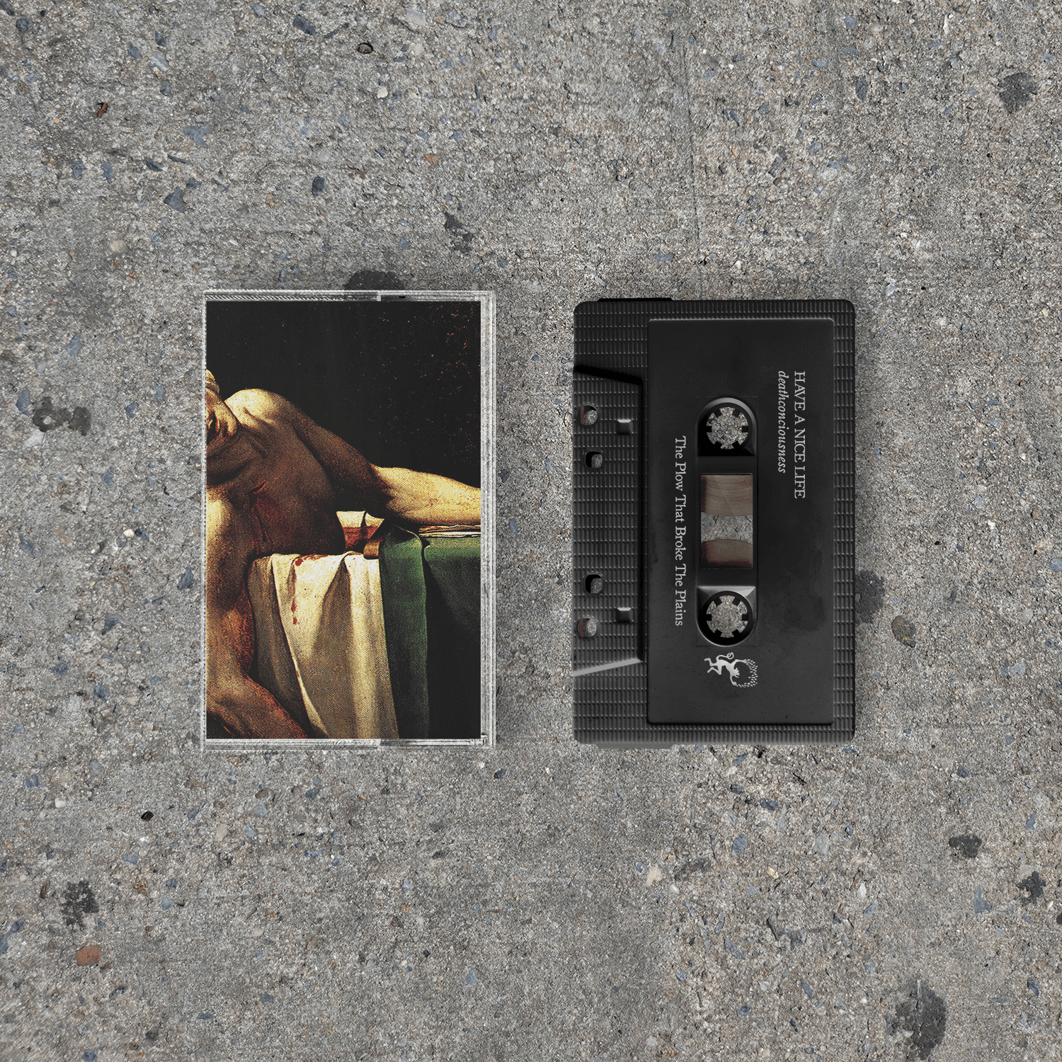 The Flenser Tapes Have a Nice Life "Deathconsciousness" Tape (pre-order)