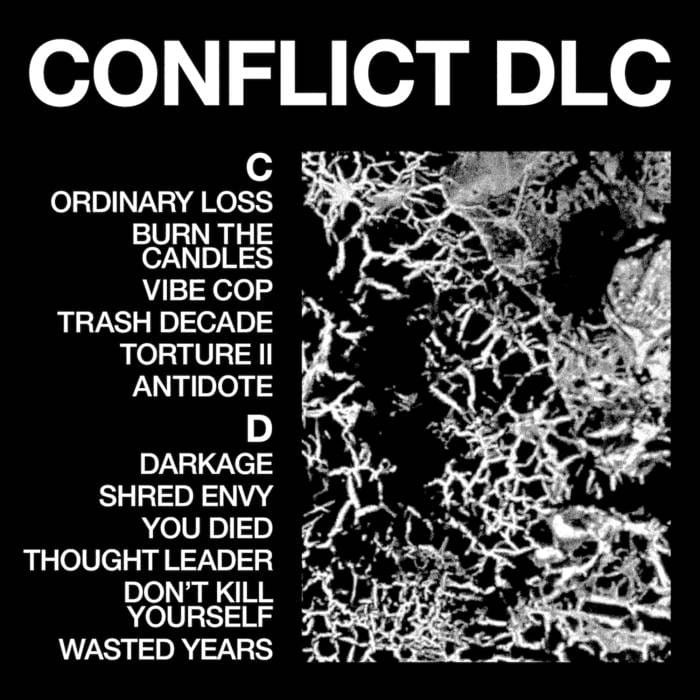 Loma Vista Vinyl Health "Conflict DLC" LP