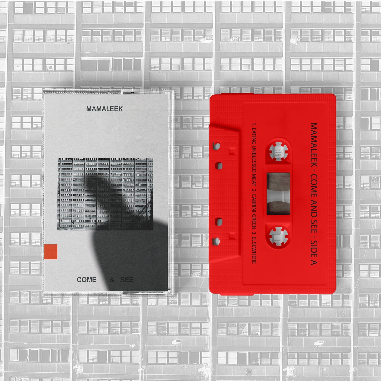 The Flenser Tapes Mamaleek "Come & See" Tape