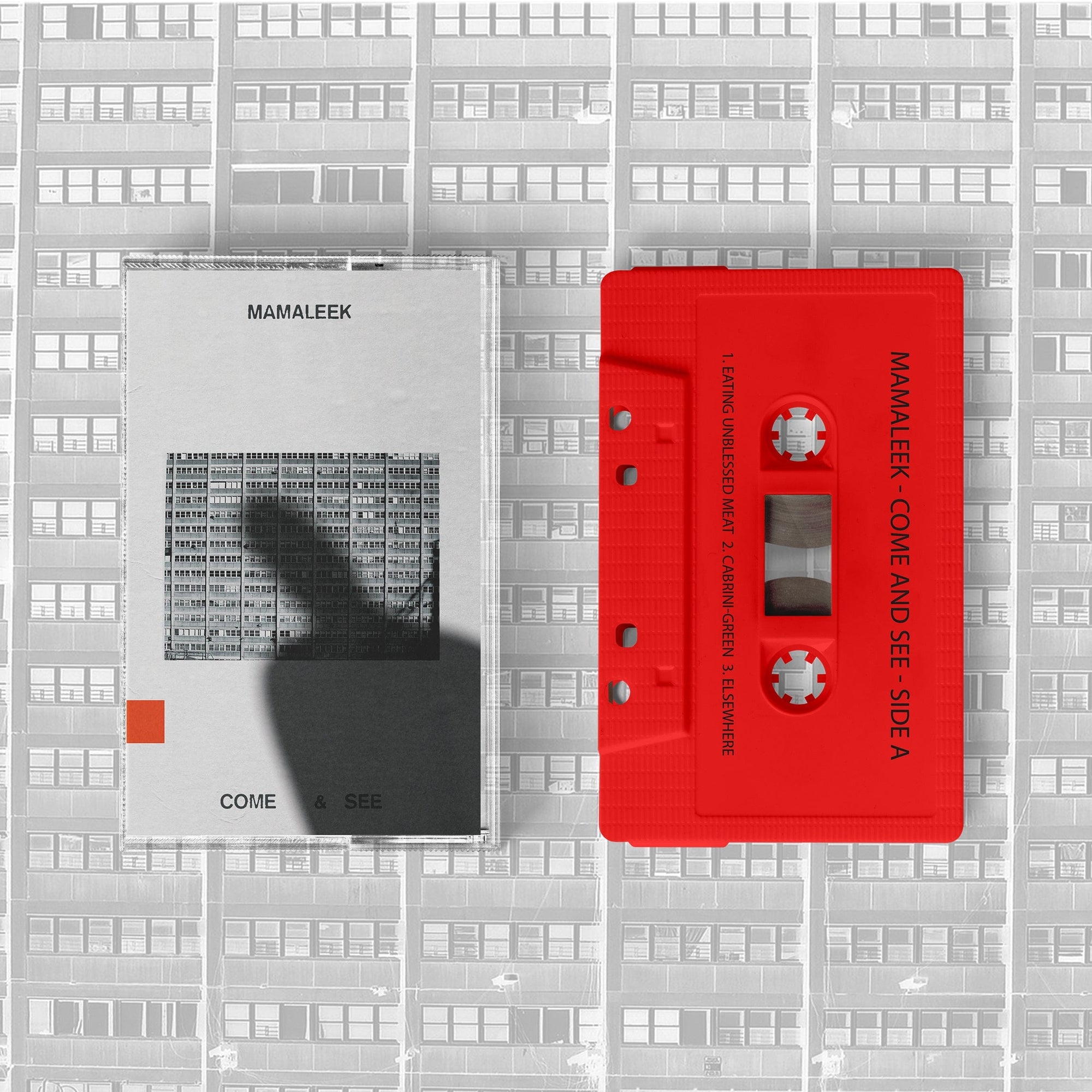 The Flenser Tapes Mamaleek "Come & See" Tape