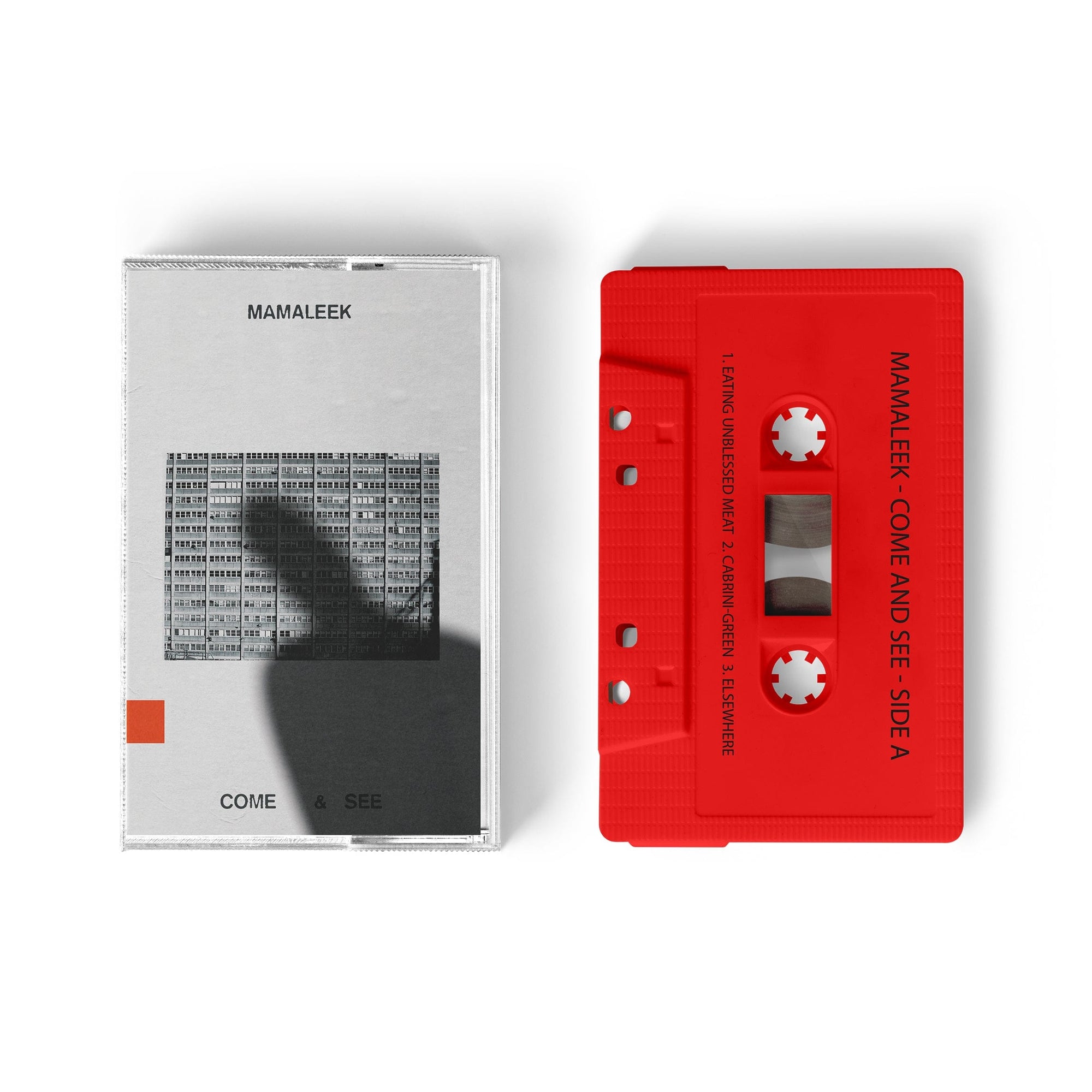 The Flenser Tapes Mamaleek "Come & See" Tape