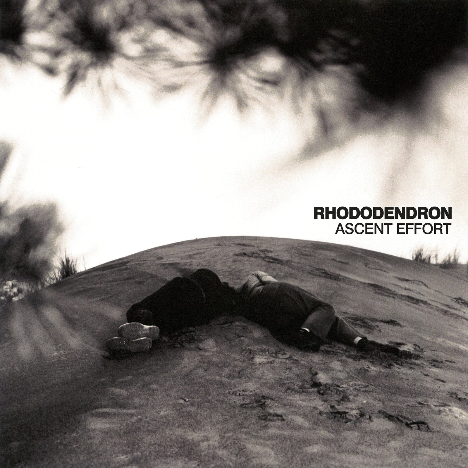 The Flenser CD Rhododendron "Ascent Effort" CD (pre-order)