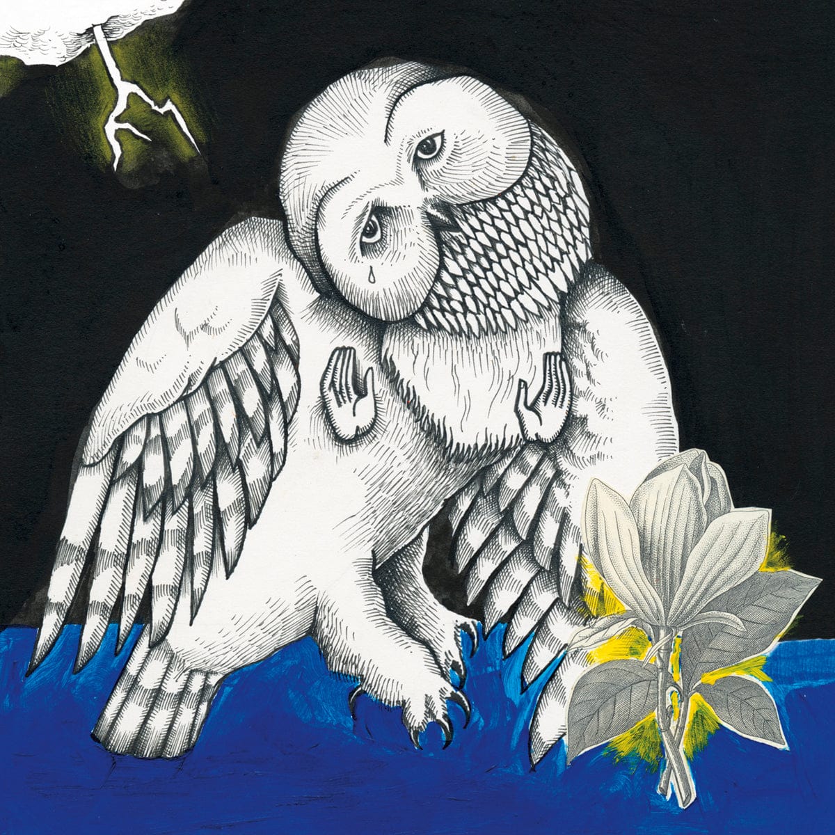 Secretly Canadian Vinyl Songs: Ohia "Magnolia Electric Co. (Deluxe Reissue)" DLP