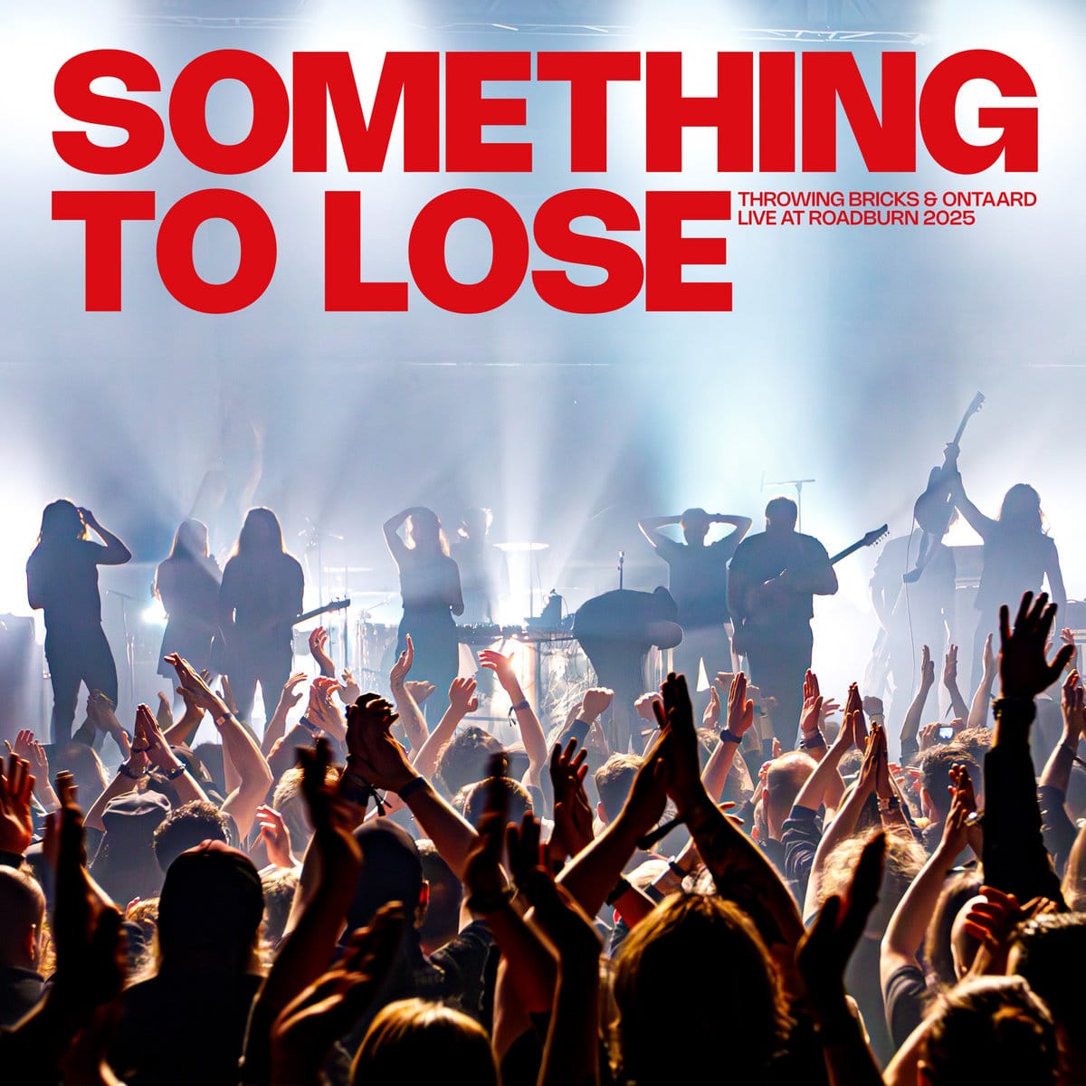 Tartarus Records Vinyl Throwing Bricks & Ontaard "Something to Lose" DLP