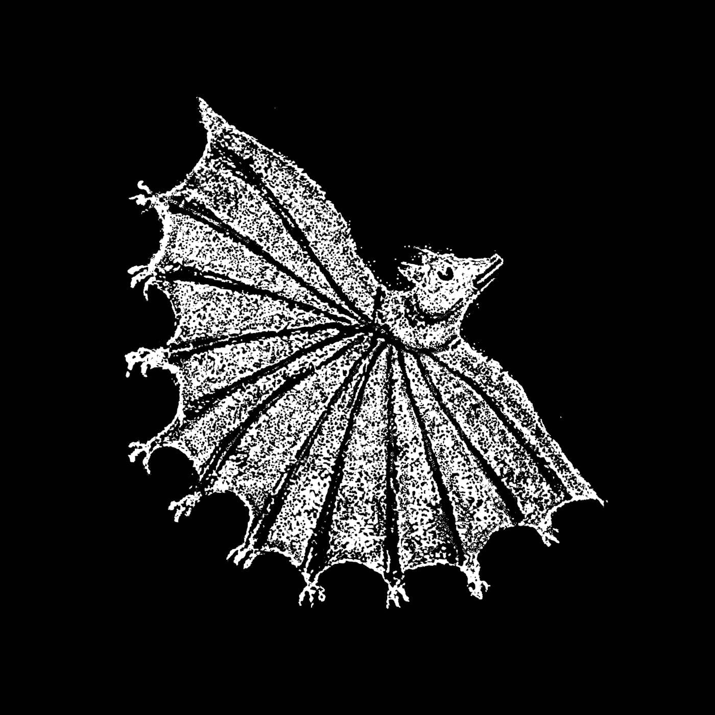 Polyvinyl Record Company CD Xiu Xiu "Ignore Grief" CD