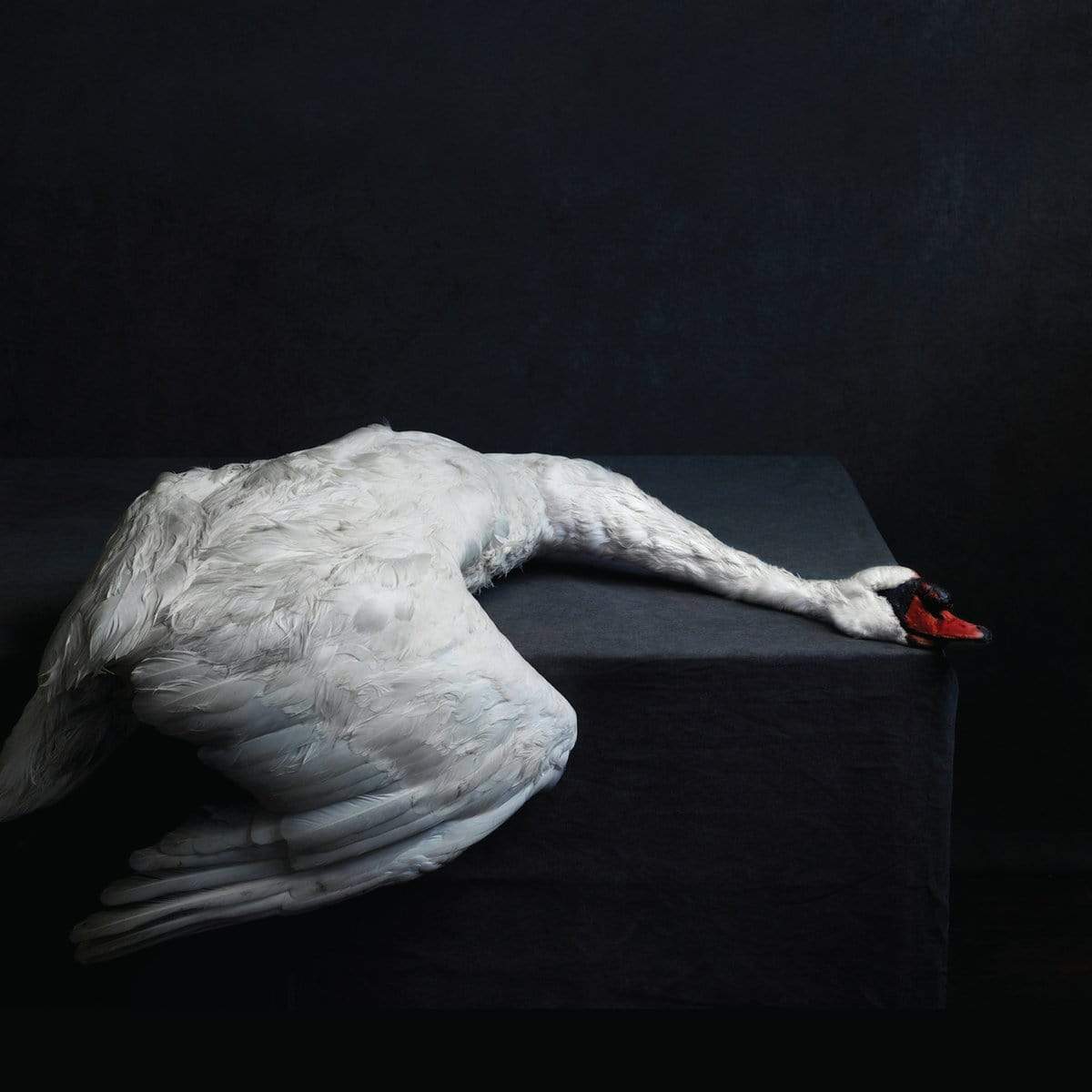 Neurot Recordings Vinyl Amenra "Mass VI" LP