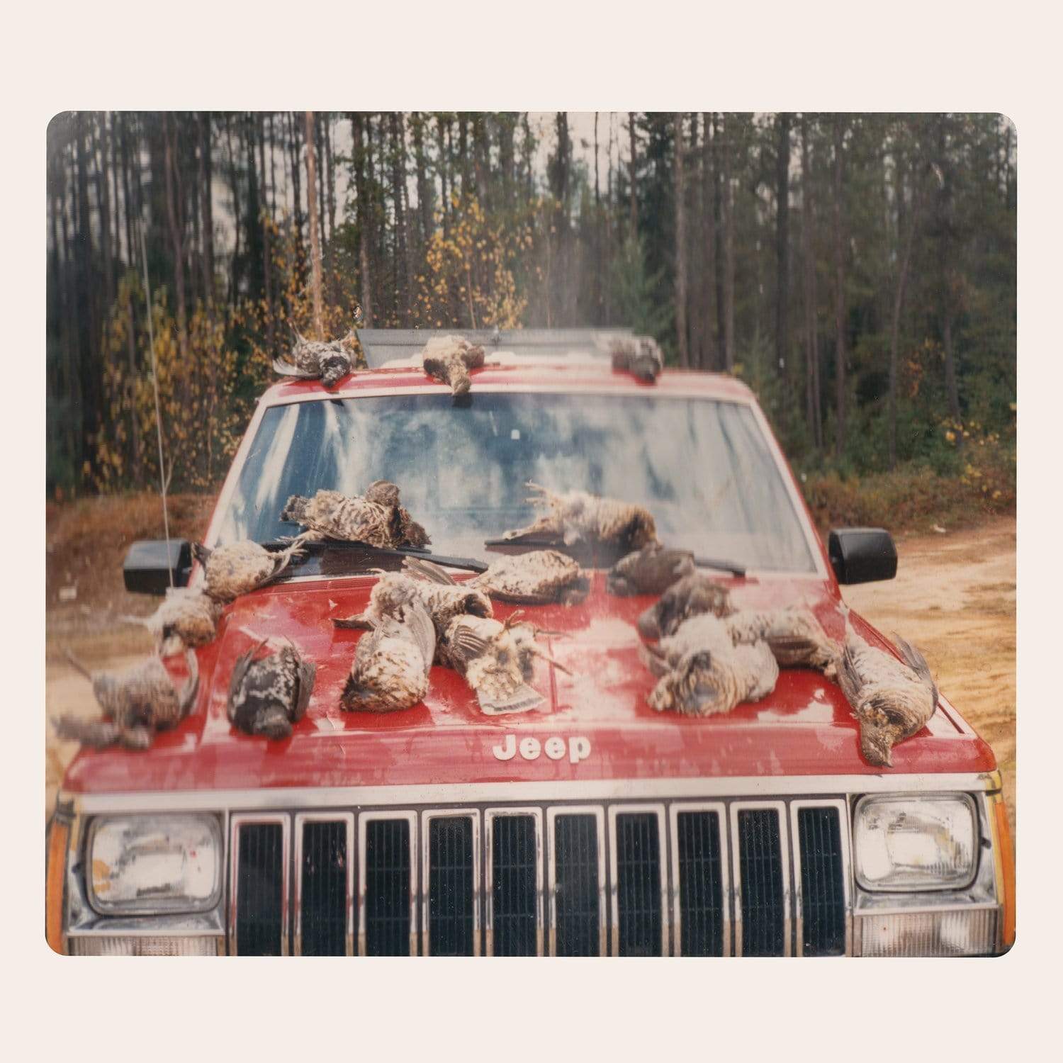 Constellation Vinyl Efrim Manuel Menuck & Kevin Doria "are SING SINCK, SING" LP