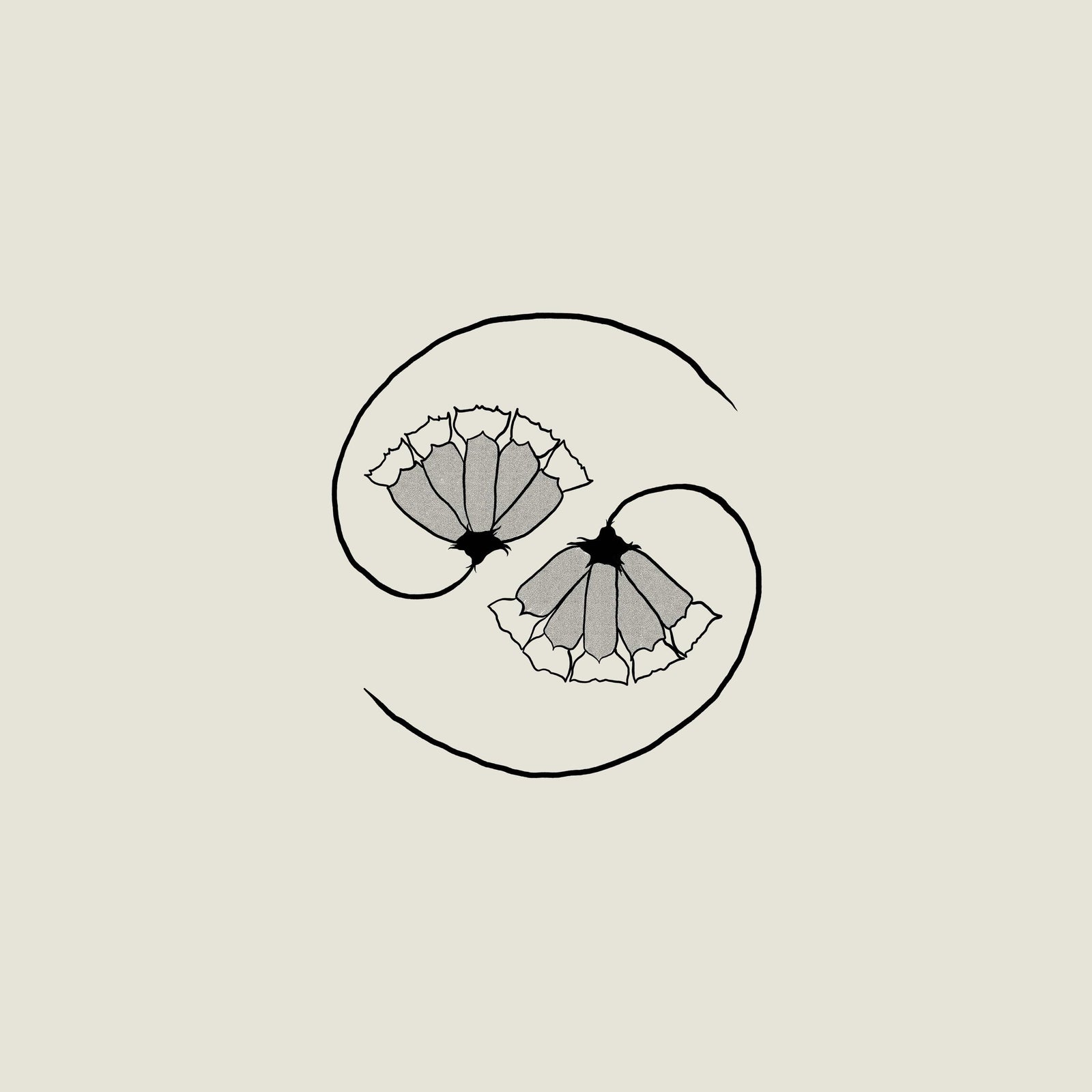 Constellation CD Godspeed You! Black Emperor "G_d's Pee AT STATE'S END!" CD (Pre-order)