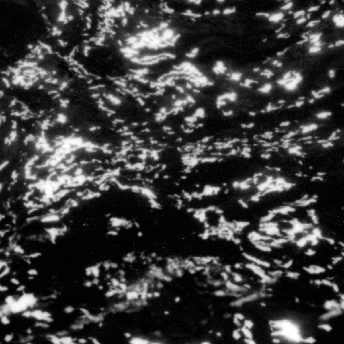 Kranky Vinyl Grouper "AIA: Dream Loss" LP