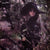 Kranky Vinyl Grouper "Dragging a Dead Deer Up a Hill" LP