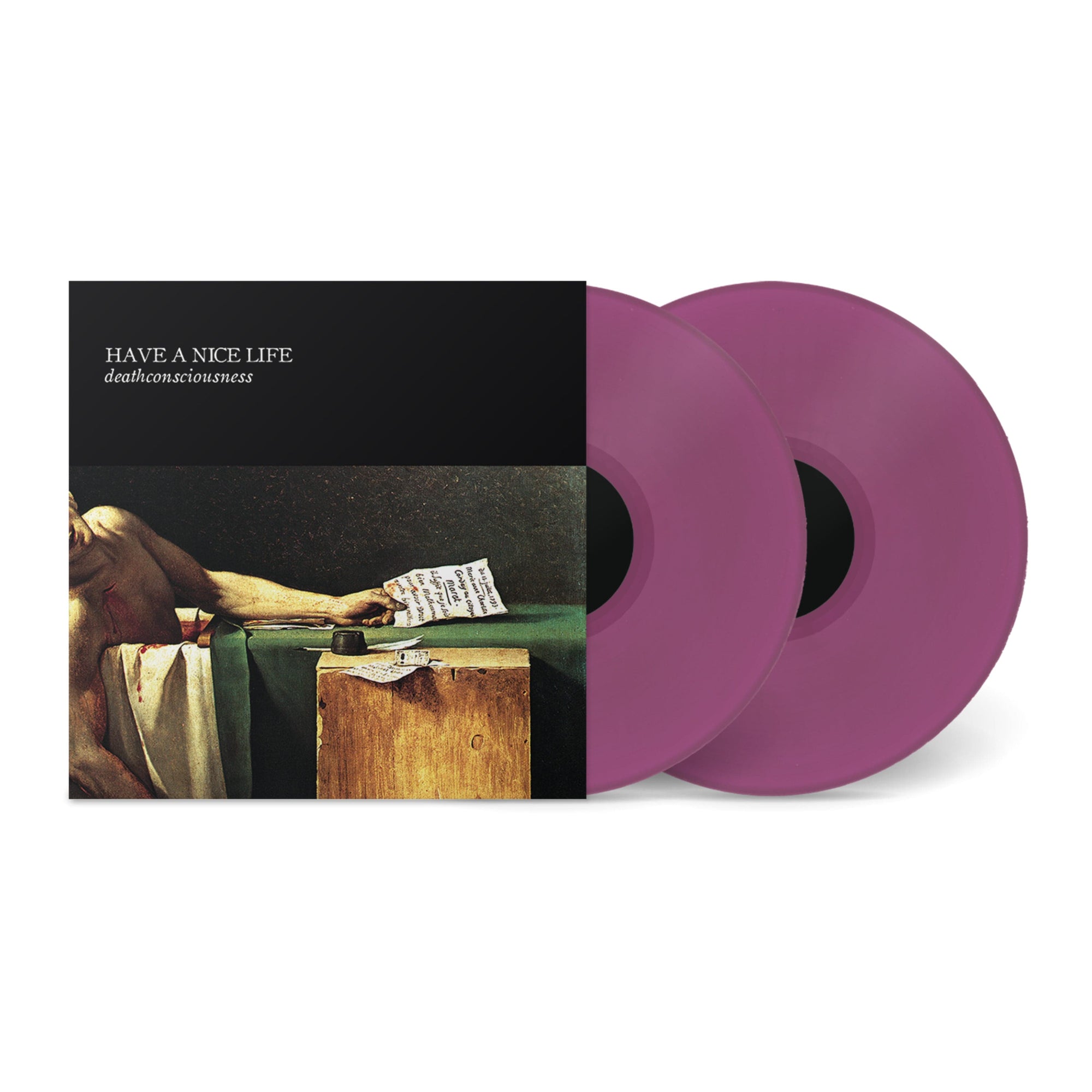 The Flenser Vinyl Have A Nice Life "Deathconsciousness" DLP & Zine (Pre-order)