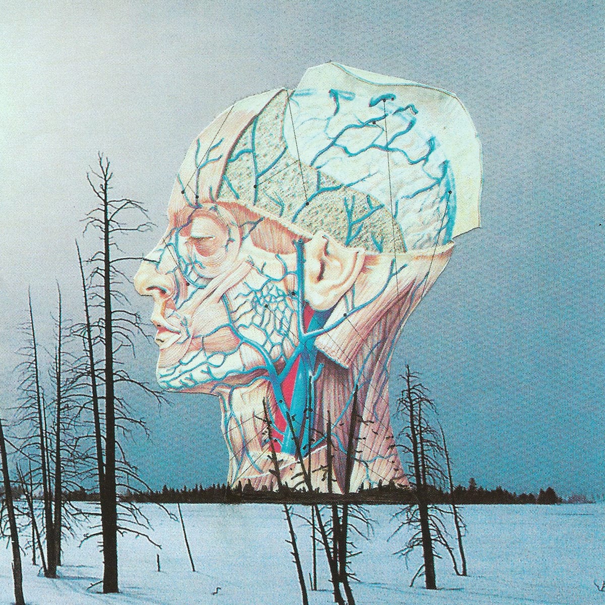 Kranky Vinyl Low "Songs for a Dead Pilot" LP