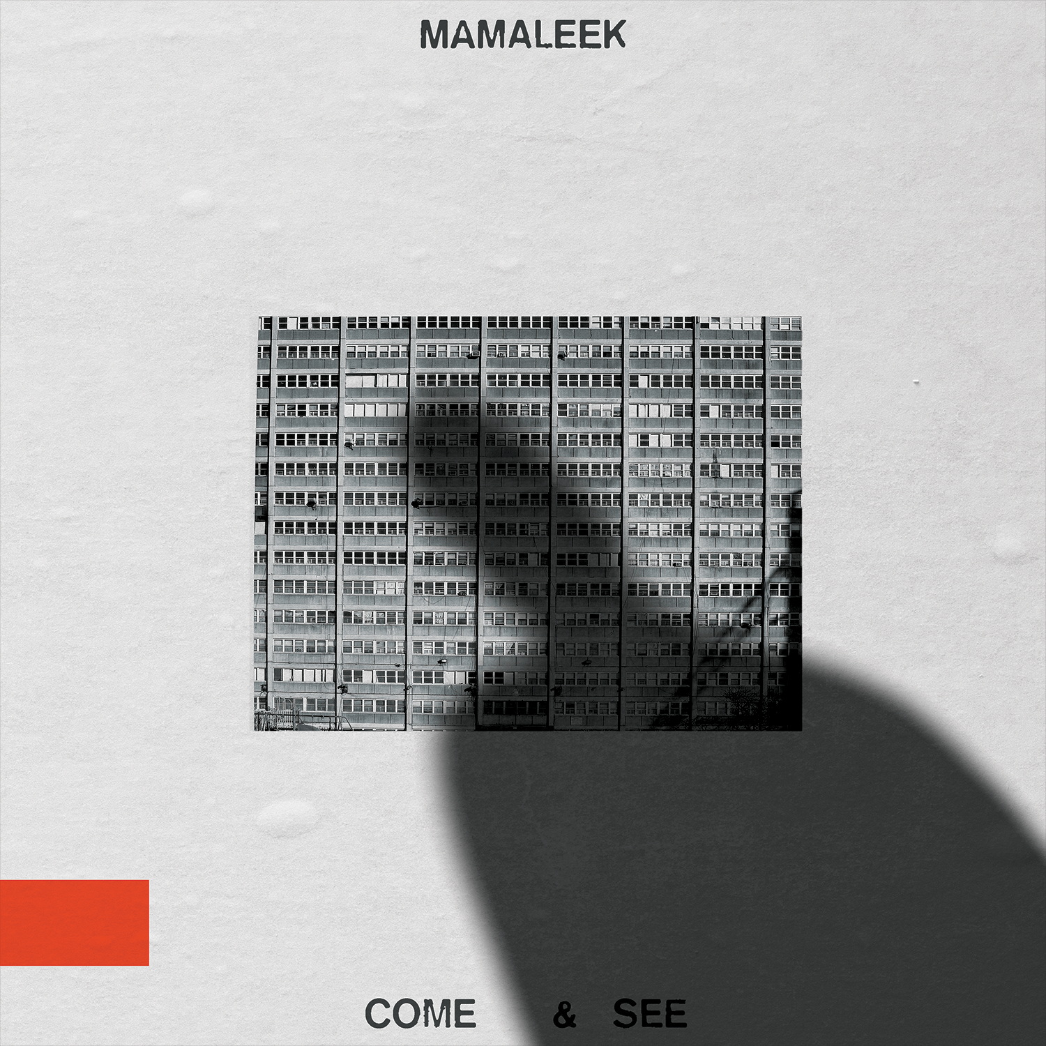 The Flenser Vinyl Mamaleek "Come & See" LP