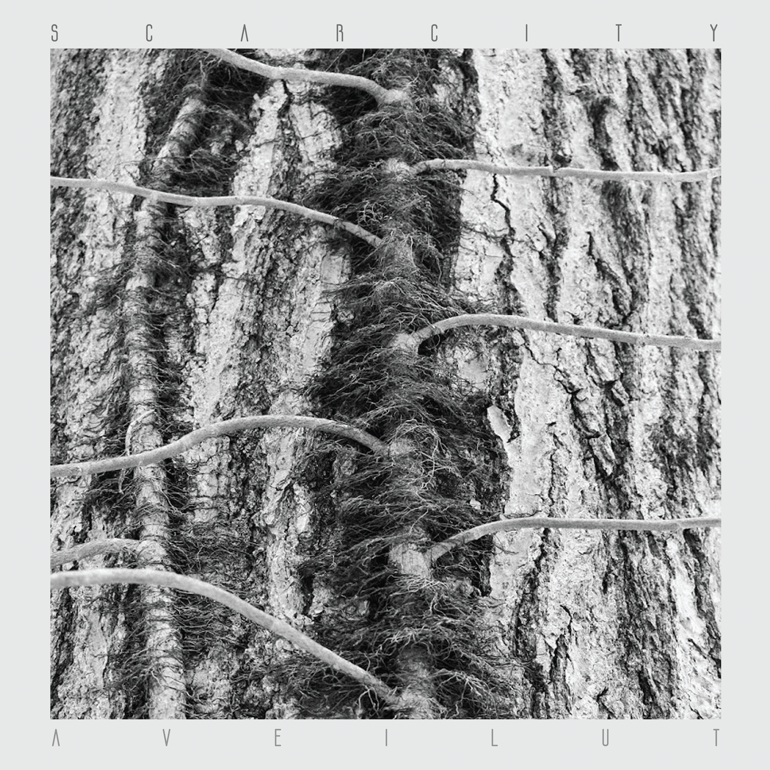 The Flenser Vinyl Scarcity "Aveilut" LP (pre-order)