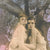 Sacred Bones CD Thou "Magus" CD